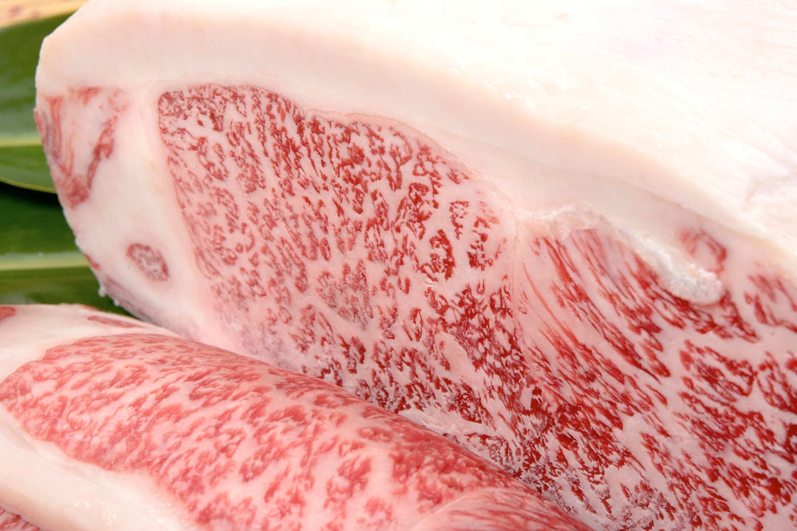 東京の出張料理撮影